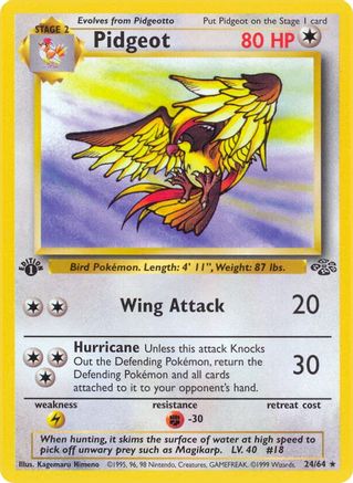 Pidgeot (24) (24) [Jungle] Unlimited