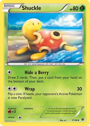 Shuckle (1) [XY - Fates Collide] Reverse Holofoil