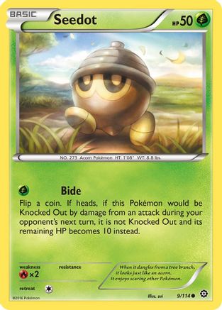 Seedot (9) [XY - Steam Siege] Reverse Holofoil