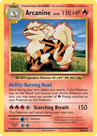 Arcanine (18) [XY - Evolutions]