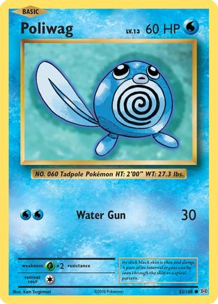 Poliwag (23) [XY - Evolutions] Reverse Holofoil