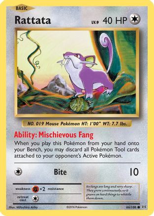 Rattata (66) [XY - Evolutions] Reverse Holofoil