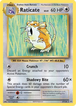 Raticate (67) [XY - Evolutions]