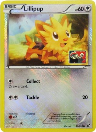 Lillipup - 81/114 (League Promo) (81) [League & Championship Cards] Reverse Holofoil