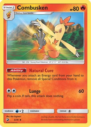 Combusken (5) [Dragon Majesty]