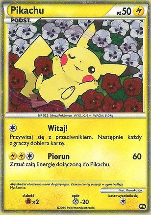 Pikachu (Polish) (PW) [Pikachu World Collection Promos] Holofoil