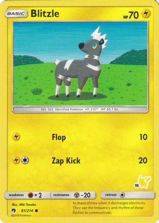 Blitzle - 81/214 (#19 Pikachu Stamped) (81) [Battle Academy]