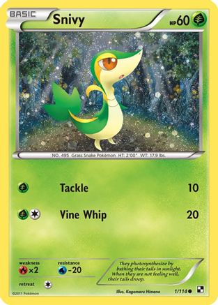 Snivy - 1/114 (Cosmos Holo) (1) [Miscellaneous Cards & Products] Holofoil