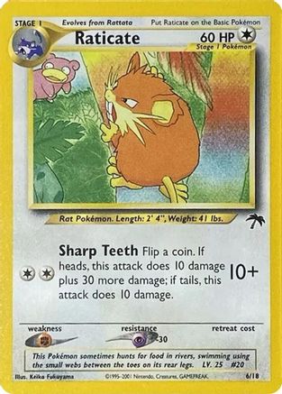 Raticate (6) [Southern Islands]