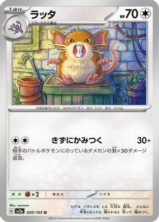 Raticate (020/165) [SV2a: Pokemon Card 151]