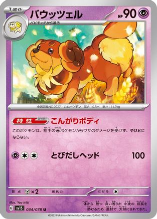 Dachsbun (034/078) [SV1S: Scarlet ex]