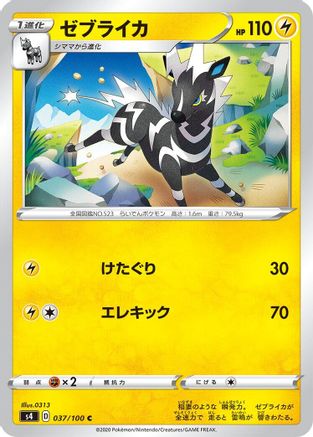 Zebstrika (037/100) [S4: Amazing Volt Tackle]