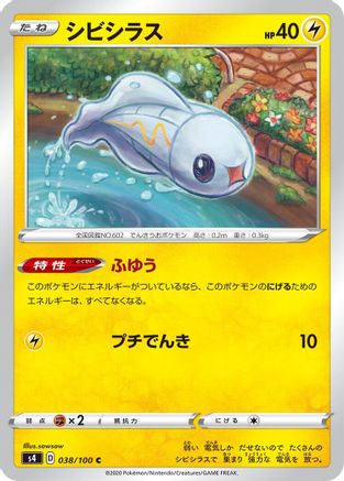 Tynamo (038/100) [S4: Amazing Volt Tackle]