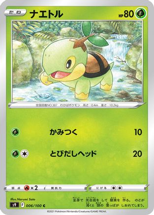 Turtwig (006/100) [S9: Star Birth]