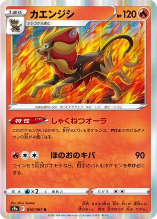 Pyroar (016/067) [S9a: Battle Region] Holofoil