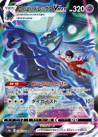 Shadow Rider Calyrex VMAX - 236/184 (236/184) [S8b: VMAX Climax] Holofoil