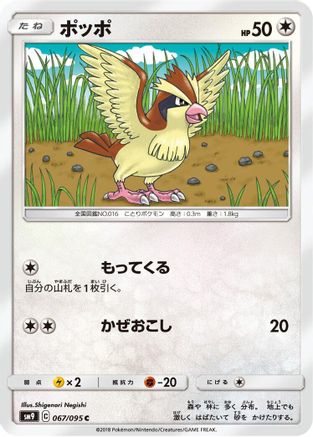 Pidgey - 067/095 (067/095) [SM9: Tag Bolt]
