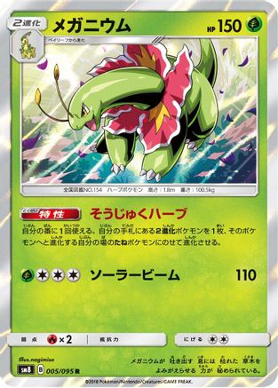 Meganium (005/095) [SM8: Super-Burst Impact] Holofoil
