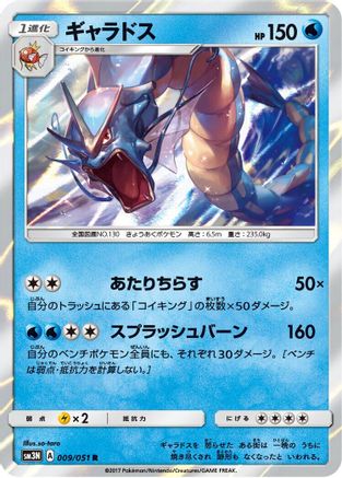 Gyarados (009/051) [SM3N: Darkness that Consumes Light] Holofoil