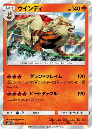 Arcanine (009/095) [SM10: Double Blaze] Holofoil