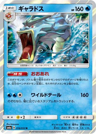 Gyarados (016/053) [SM6a: Dragon Storm] Holofoil