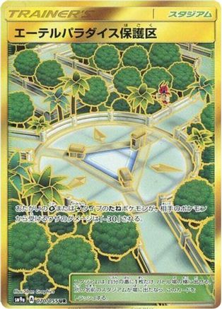 Aether Paradise Conservation Area (070/055) [SM9a: Night Unison] Holofoil