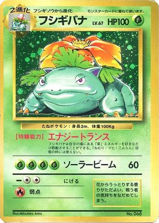 Venusaur () [Expansion Pack (No Rarity)] Holofoil