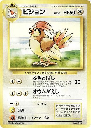 Pidgeotto () [Expansion Pack (No Rarity)] Holofoil