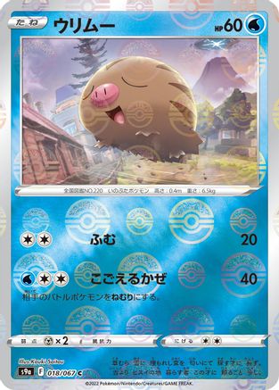 Swinub (Mirror Holofoil) (018/067) [S9a: Battle Region] Holofoil