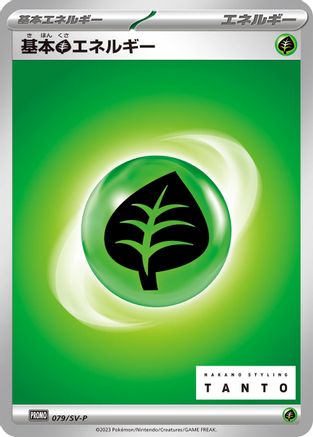 Basic Grass Energy - 079/SV-P (079/SV-P) [SV-P Promotional Cards]