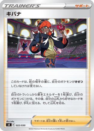 Raihan (022/030) [sK: VSTAR Premium Trainer Box]