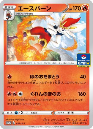 Cinderace - 022/S-P (022/S-P) [S-P: Sword & Shield Promos]