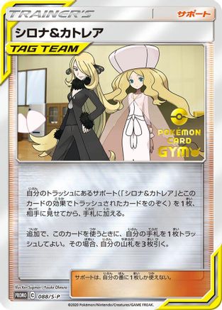 Cynthia & Caitlin - 088/S-P (088/S-P) [S-P: Sword & Shield Promos] Holofoil