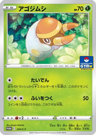 Grubbin - 234/S-P (234/S-P) [S-P: Sword & Shield Promos]