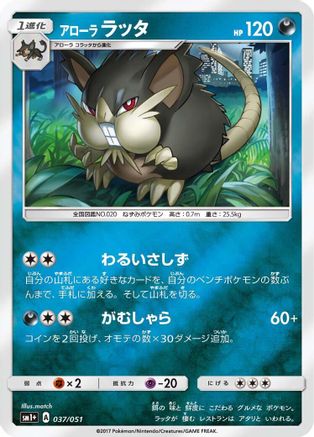 Alolan Raticate (037/051) [sm1+: Enhanced Expansion Pack Sun & Moon] Holofoil