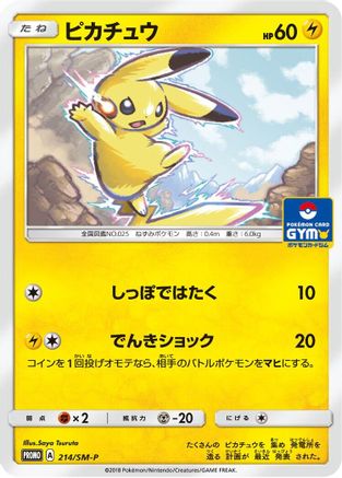 Pikachu - 214/SM-P (214/SM-P) [SM-P: Sun & Moon Promos]