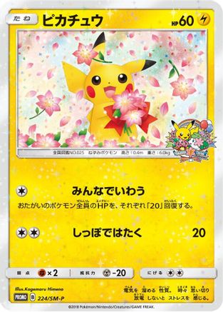 Pikachu - 224/SM-P (224/SM-P) [SM-P: Sun & Moon Promos]