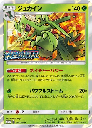 Sceptile - 228/SM-P (228/SM-P) [SM-P: Sun & Moon Promos] Holofoil