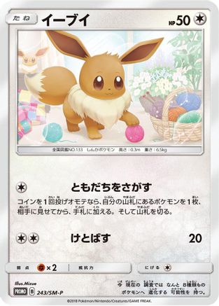 Eevee - 243/SM-P (243/SM-P) [SM-P: Sun & Moon Promos]