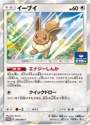 Eevee - 245/SM-P (245/SM-P) [SM-P: Sun & Moon Promos] Holofoil