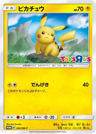Pikachu - 262/SM-P (262/SM-P) [SM-P: Sun & Moon Promos]