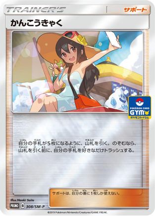 Sightseer - 308/SM-P (308/SM-P) [SM-P: Sun & Moon Promos] Holofoil
