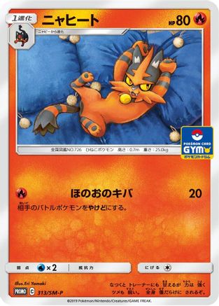 Torracat - 313/SM-P (313/SM-P) [SM-P: Sun & Moon Promos]