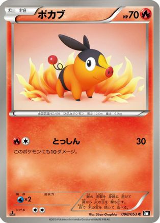 Tepig (008/053) [BW1: Black Collection] 1st Edition