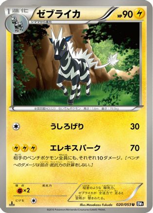 Zebstrika (020/053) [BW1: Black Collection] 1st Edition