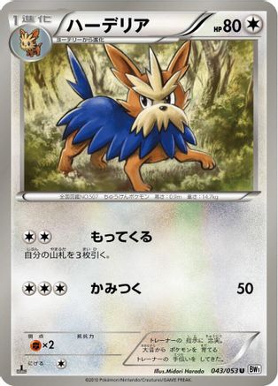 Herdier (043/053) [BW1: White Collection] 1st Edition