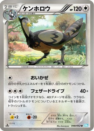 Unfezant (048/052) [BW3: Hail Blizzard] Unlimited