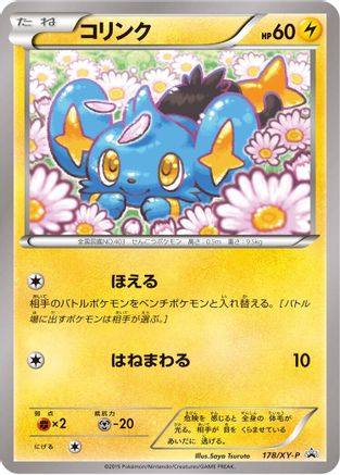 Shinx - 178/XY-P (178/XY-P) [XY-P: XY Promos]