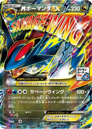 Salamence - 257/XY-P (257/XY-P) [XY-P: XY Promos] Holofoil
