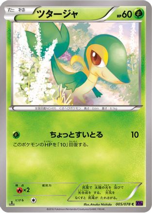 Snivy (005/078) [XY10: Awakening Psychic King] 1st Edition